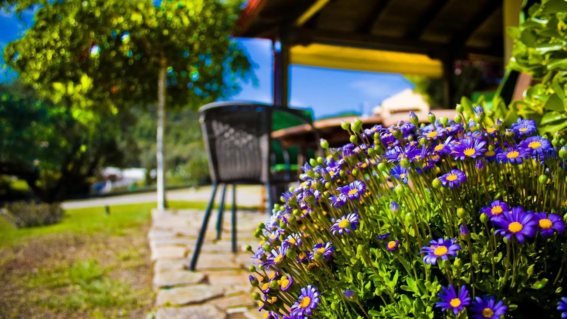 Paradise Family House In Chalkidiki Chanioti Hanioti