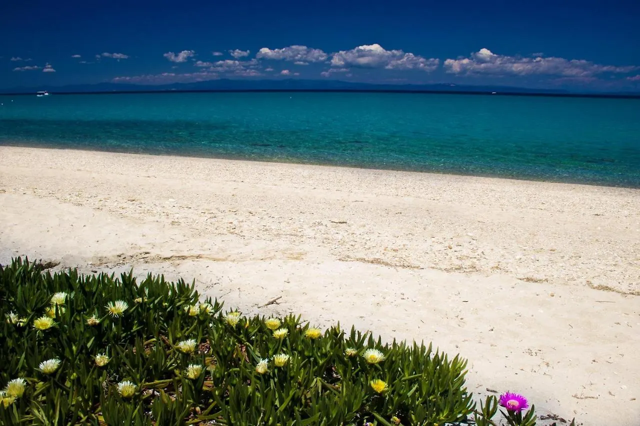 Appartement Paradise Family House In Chalkidiki Chanioti